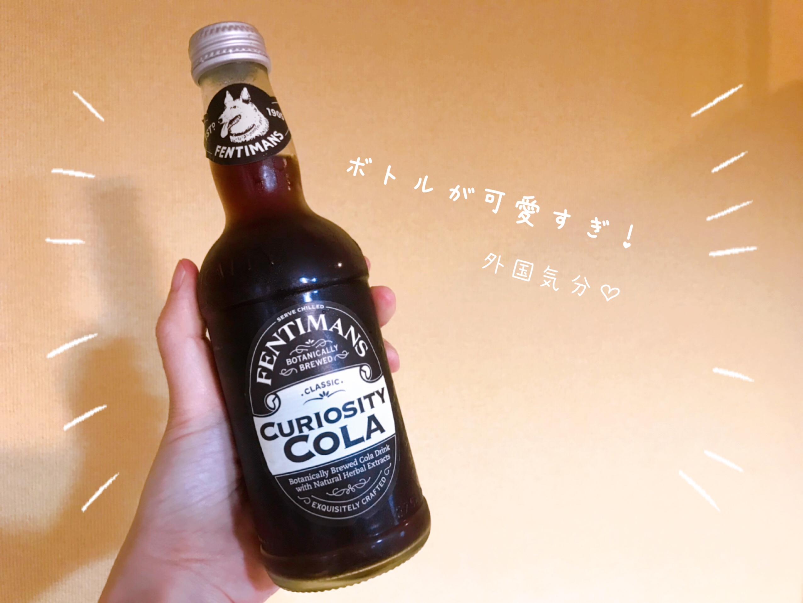 冷凍ピザお取り寄せ