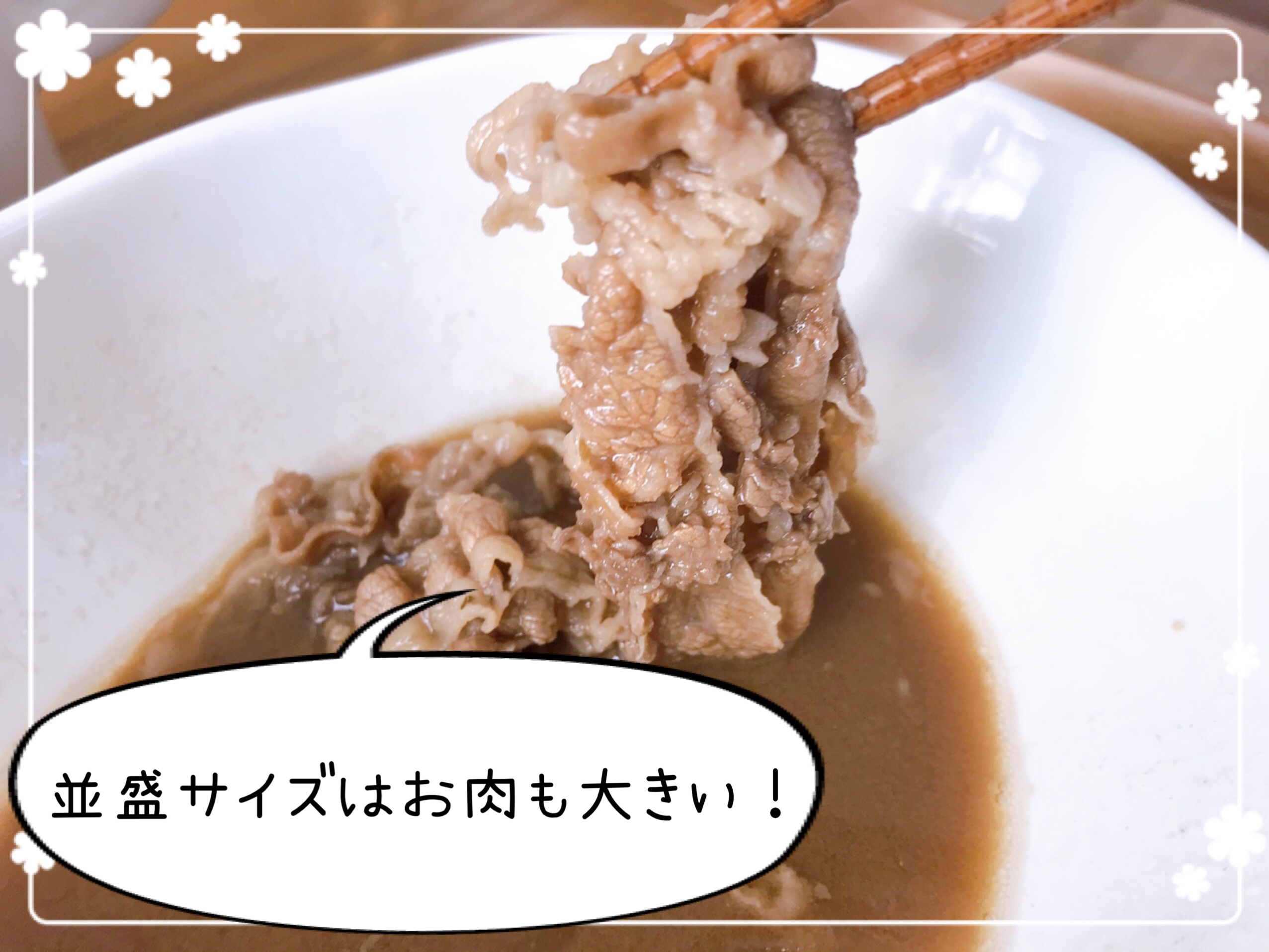 冷凍食品 すき家の牛丼