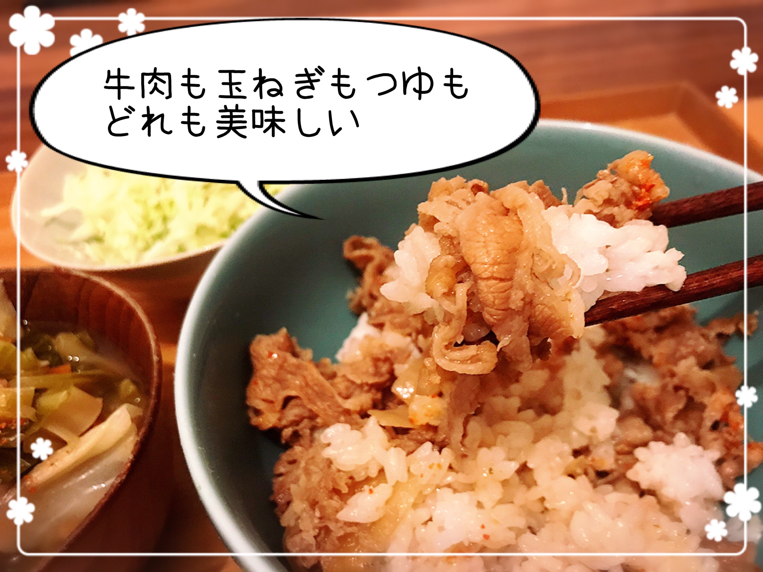 冷凍食品 すき家の牛丼